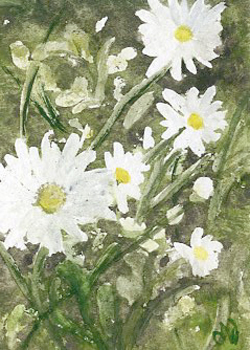 Daisies In The Woods Mary Warnke West Bend WI watercolor